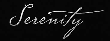 Serenity Villa website and SEO case study